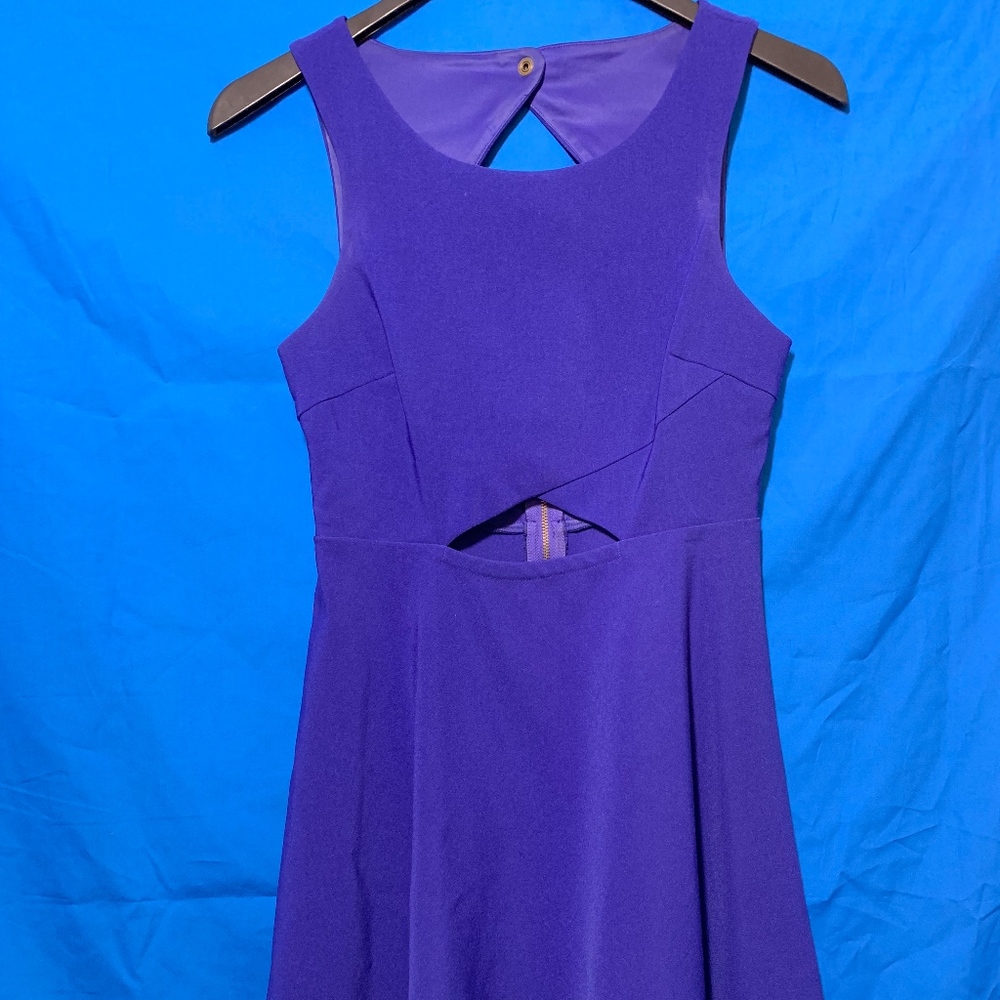 Royal Blue Sparkle and Fade Skater Dress